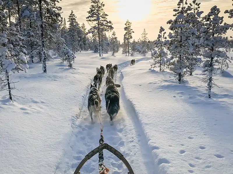 Découverte de la Laponie finlandaise