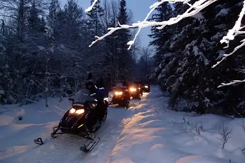 Promenade en motoneige en forêt lapone
