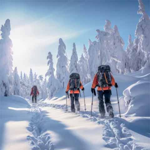 Randonnées en raquette dans les grands espaces de forêts enneigées de Laponie