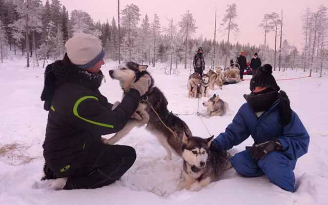 Séjour découverte de la Laponie