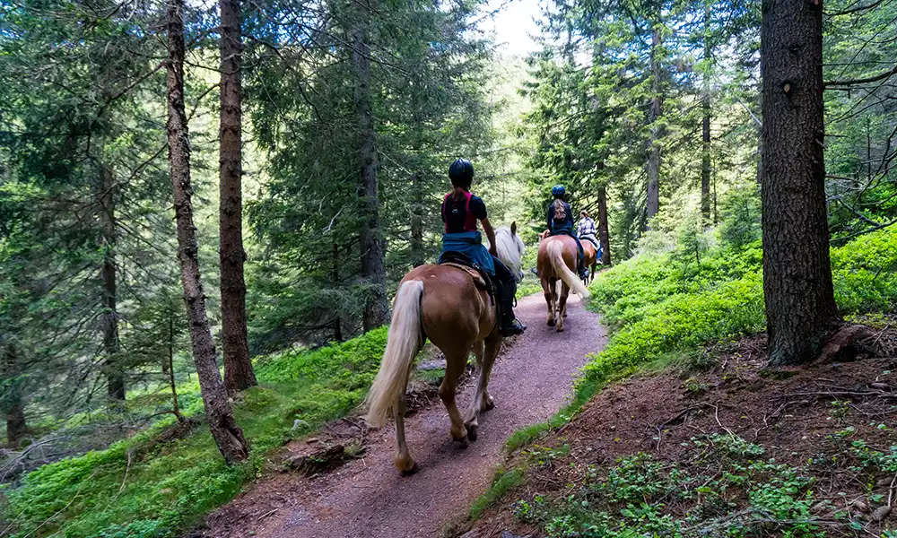 Trekking à cheval