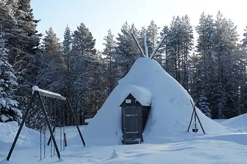 Véritable Kota lapon sur notre propriété